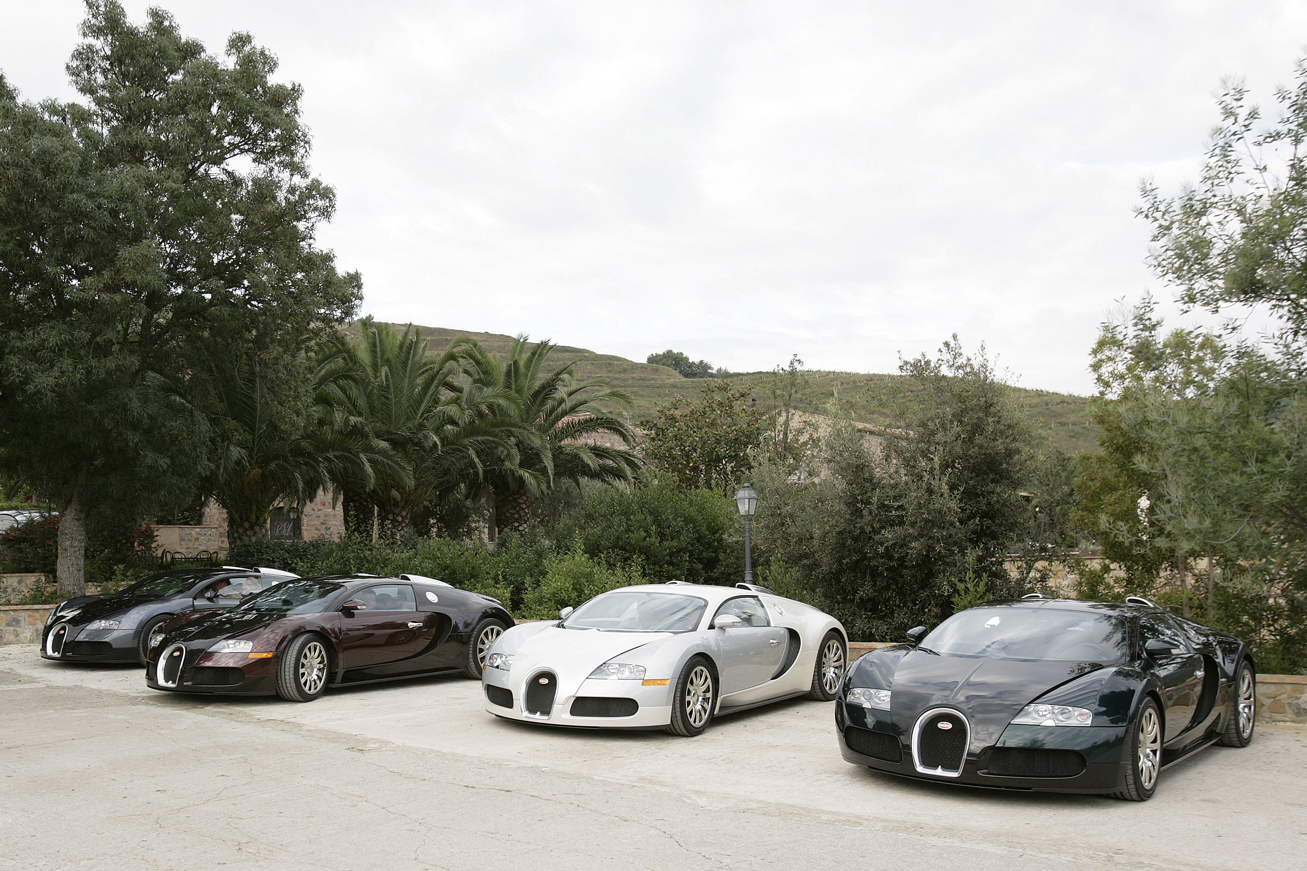 A Veyron quartet conquers the legendary Targa Florio course and the Autodromo di Pergusa during the Sicily press event.